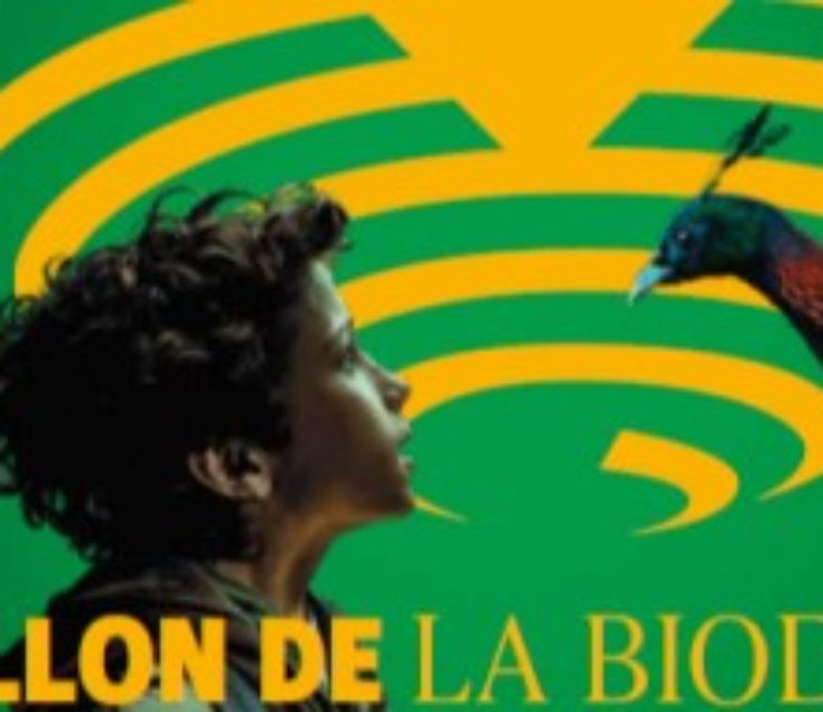 Eurométropole de Metz