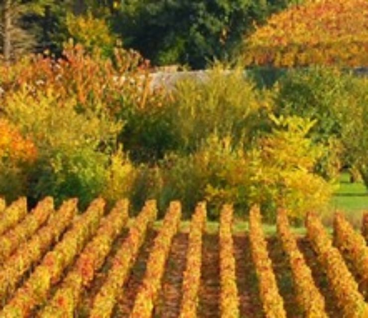 L’Institut Agro Dijon