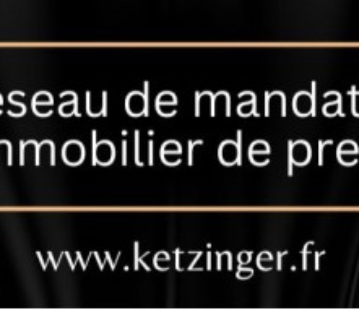 Ketzinger International Realty