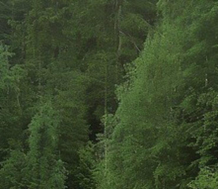 Les Usses Développement