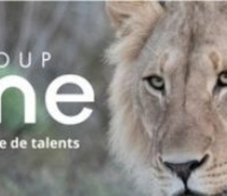 Savane Group