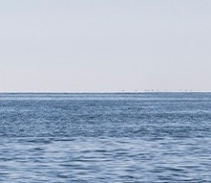 ALLIANCE MARINE GROUP