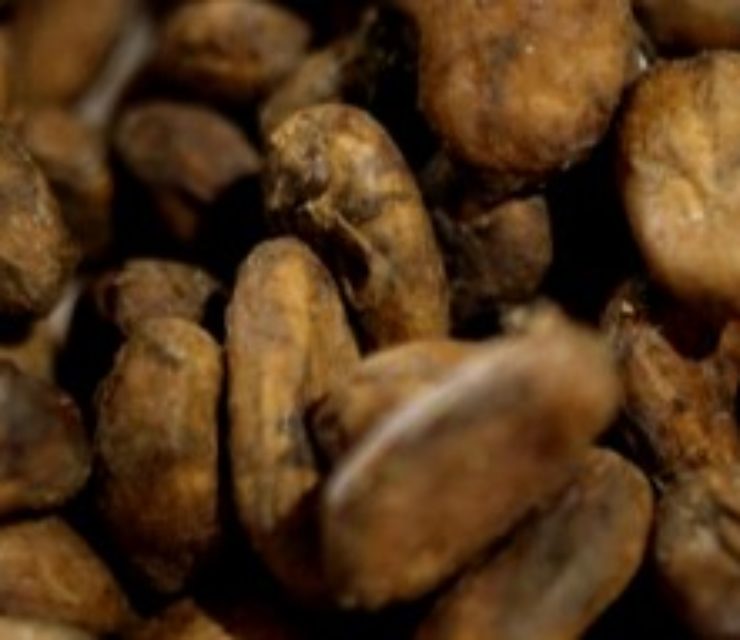 Chocolaterie Vincent Guerlais