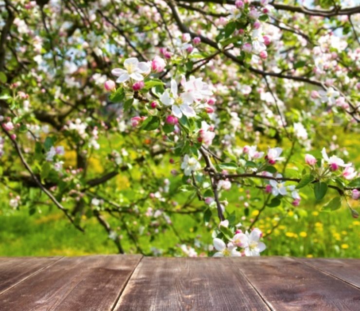 Eclor – La branche Boissons d’AGRIAL