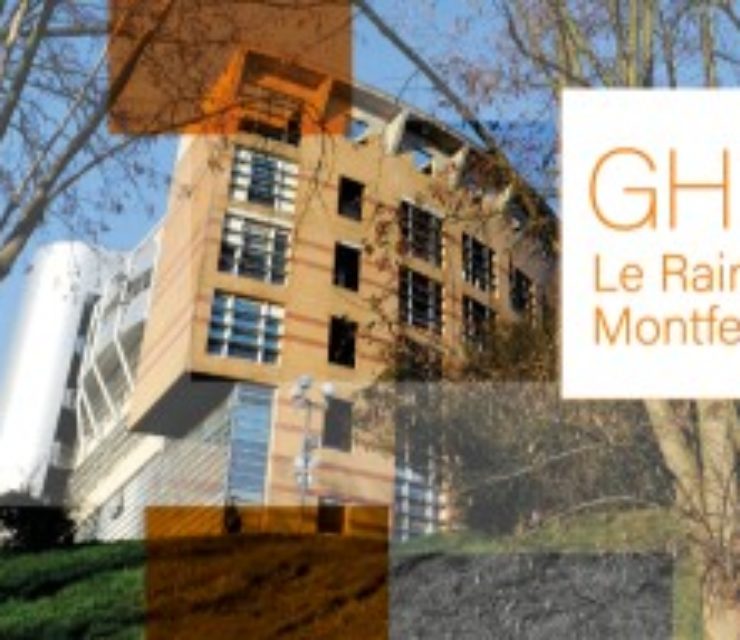 GHT Grand Paris Nord-Est