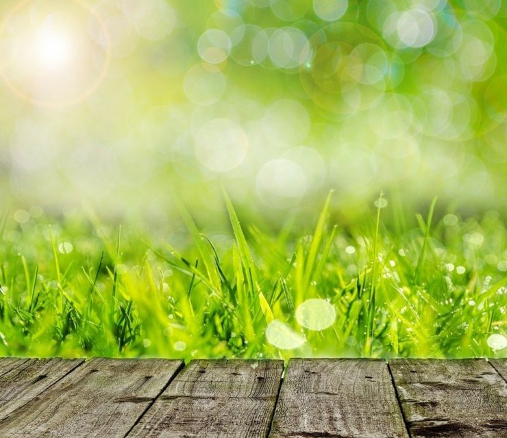 Hoortrade SAS / Casanoov