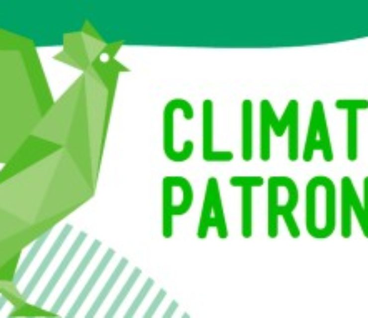 IBB – International Beers & Beverages