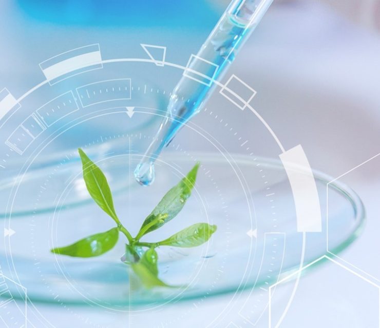 Laboratoires Juva Santé