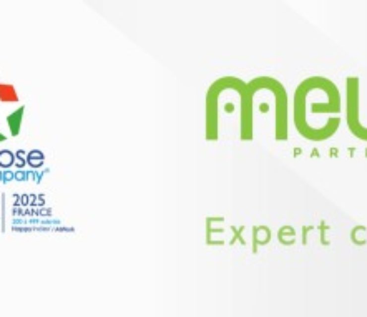 Mews Partners