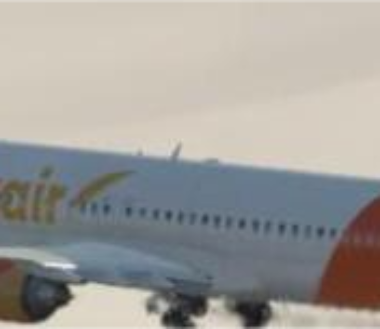 NELIXAIR Association