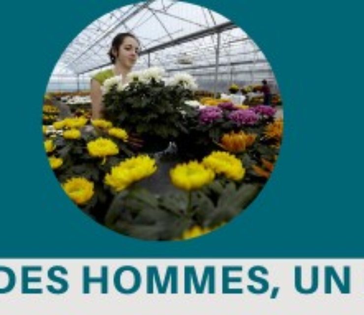 SICA St Pol de Léon