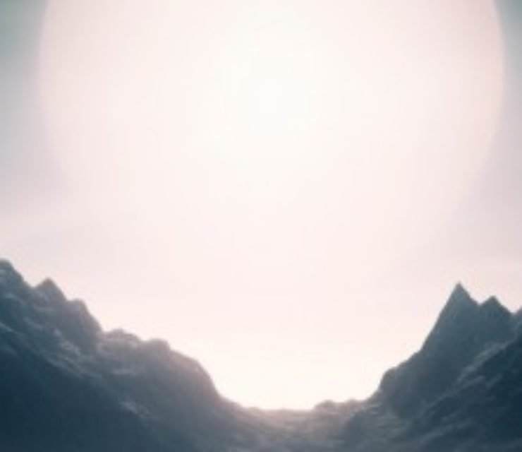 Candice Van der Massen