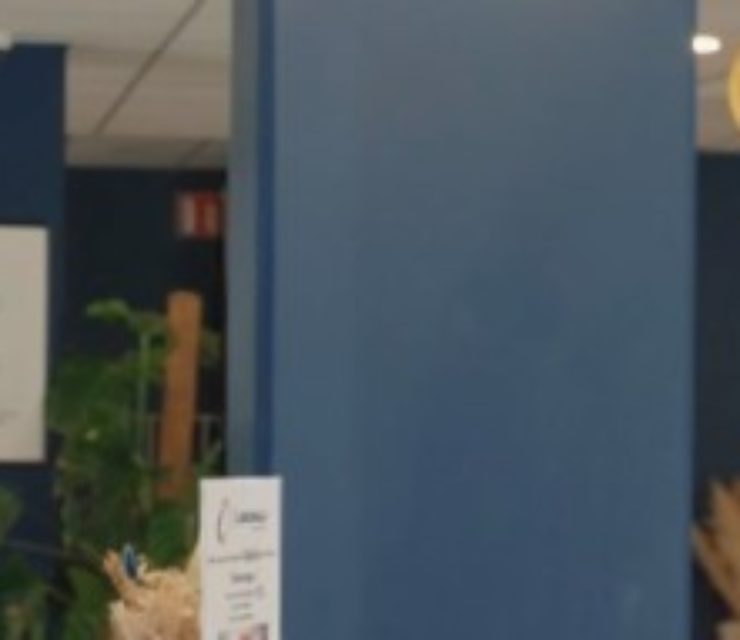 The Originals Hotels