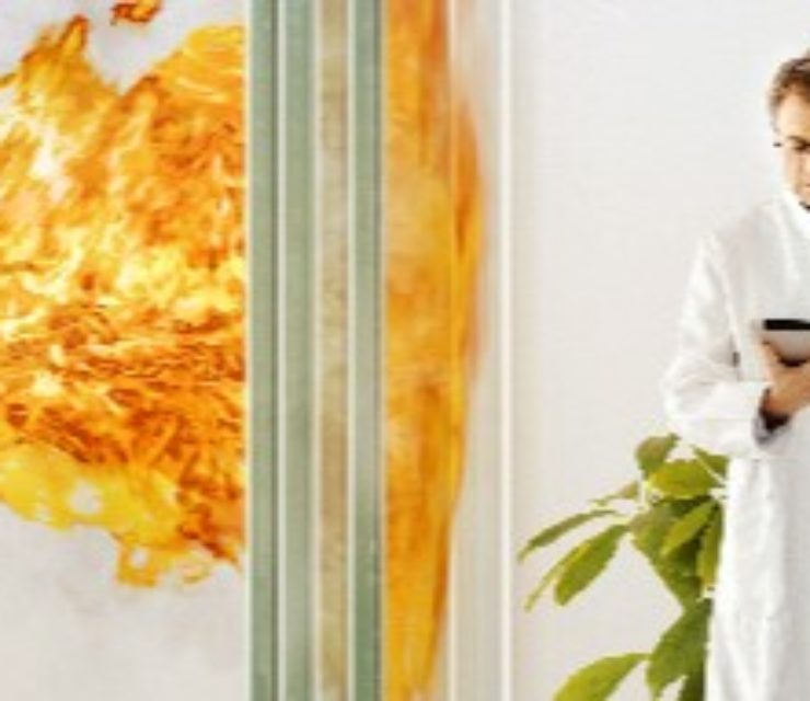 Vetrotech Saint-Gobain