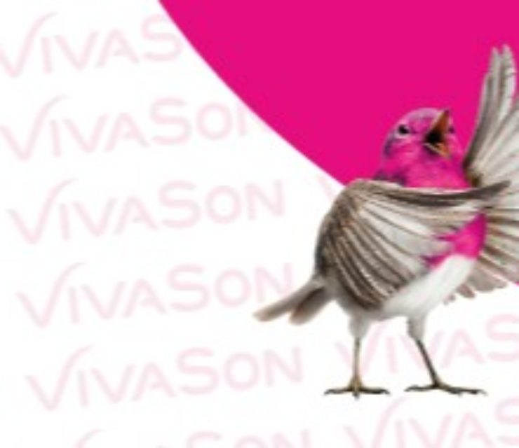 VivaSon