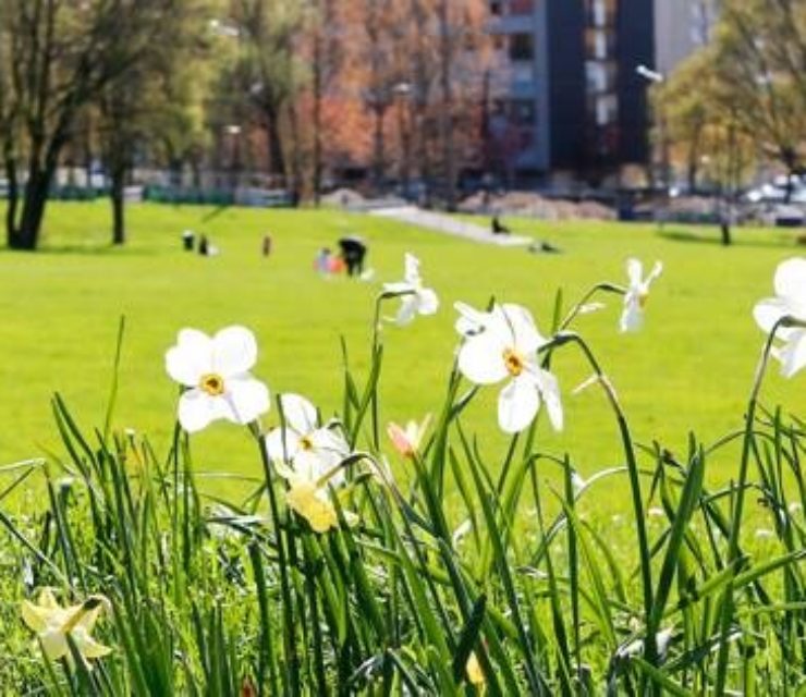 Ville de Clichy-sous-Bois