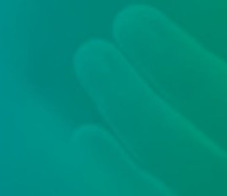 Com&Sens territoires