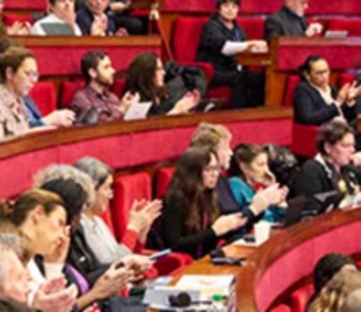 Conseil économique social et environnemental