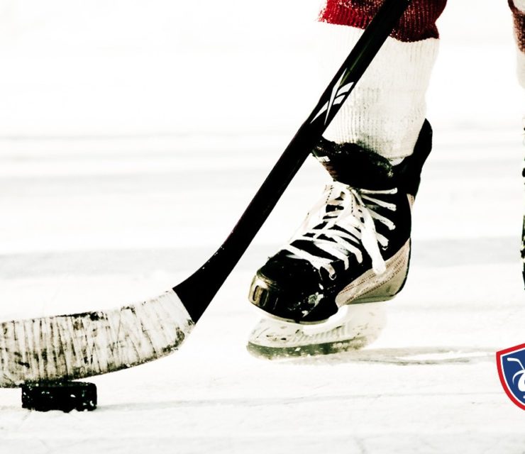 Fédération Française de Hockey-sur-Glace (FFHG)