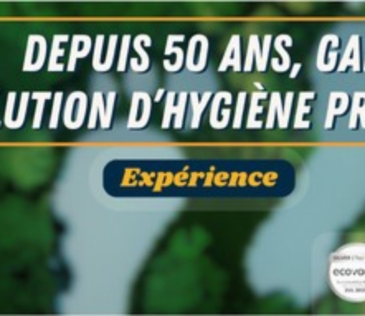 GAMA 29 – Groupe HEDIS