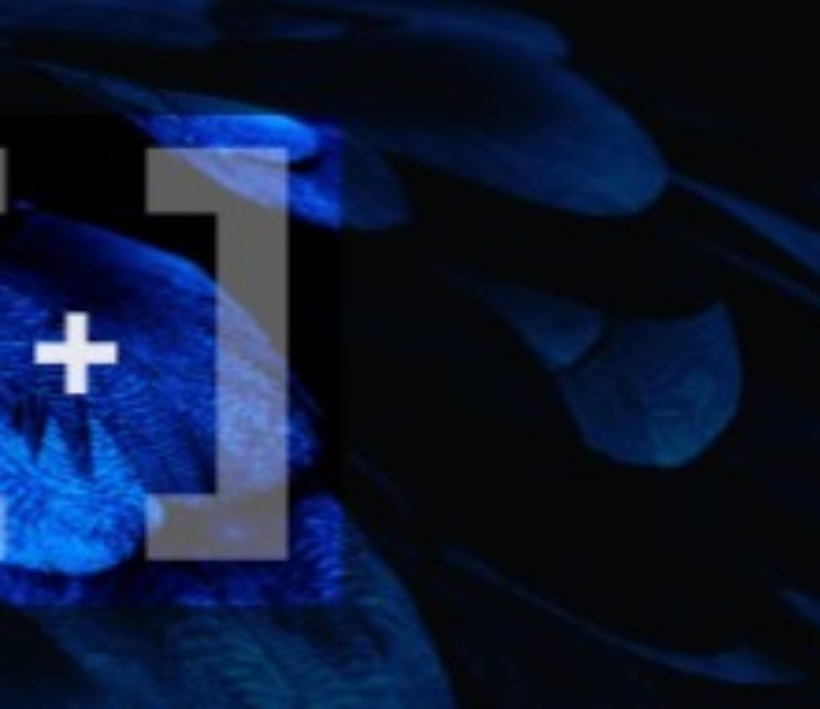 i2S • Innovative Imaging Solutions