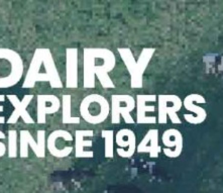 Ingredia Dairy Experts