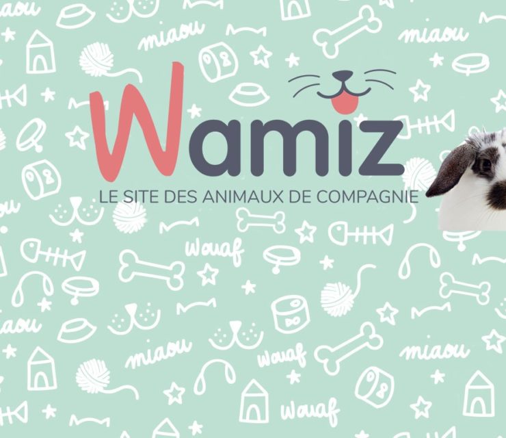 Wamiz