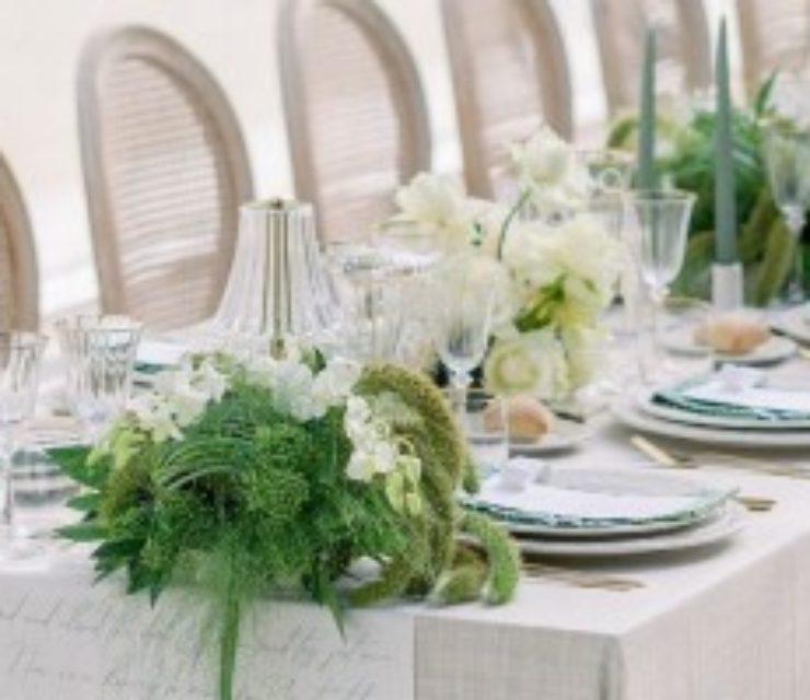 Anaïs COLZART-AMBROSI